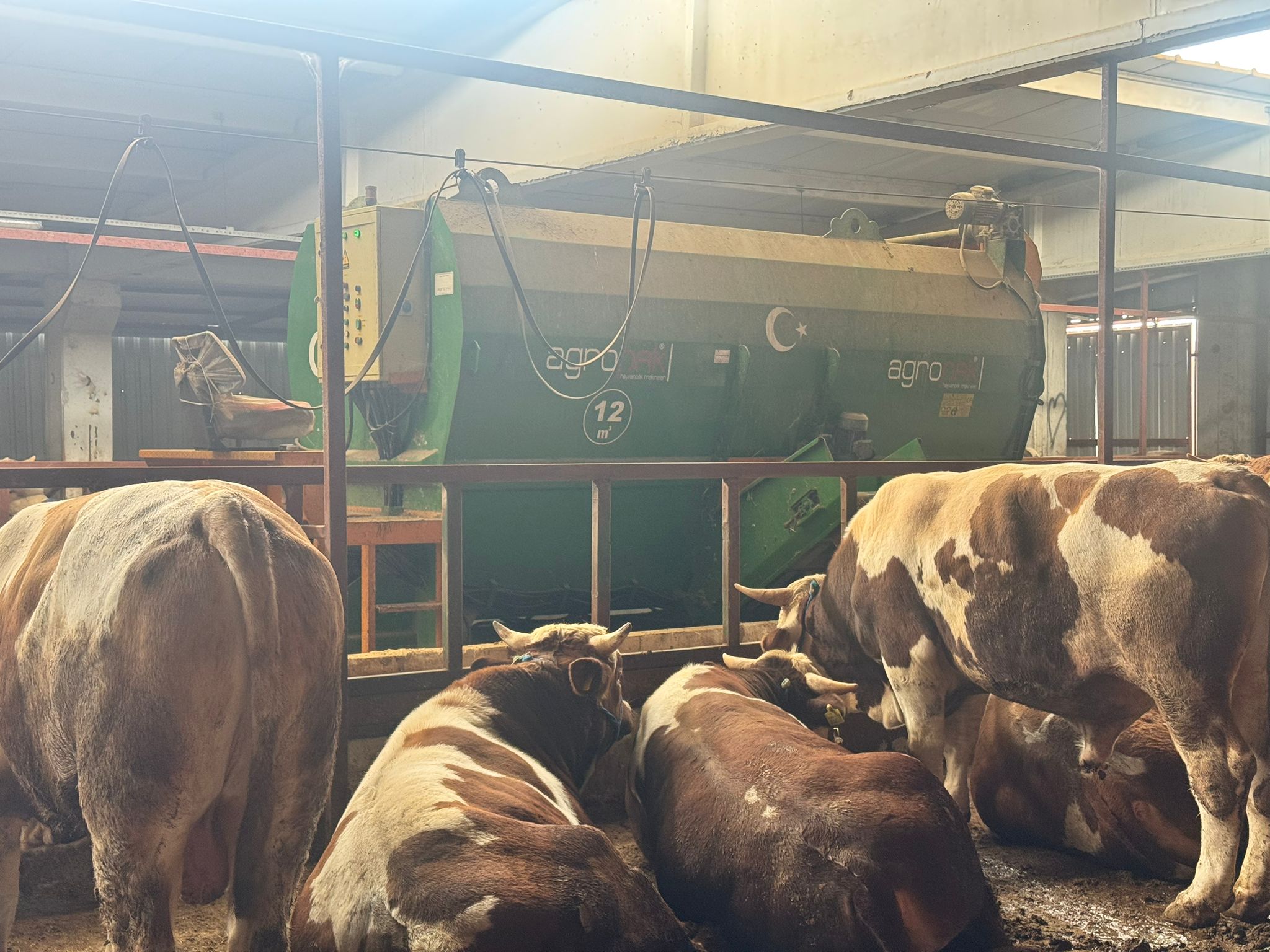 AgroMak Yanındaki Kurbanlıklar